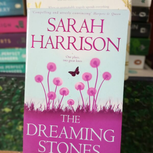 The Dreaming Stones by Sarah Harrison