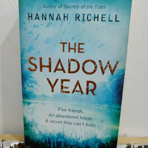 The Shadow Year by Hannah Richell