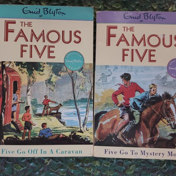 The Famous Five (2 books) :Five Go Off in a Caravan/Five Go to Mystery Moor by Enid Blyton