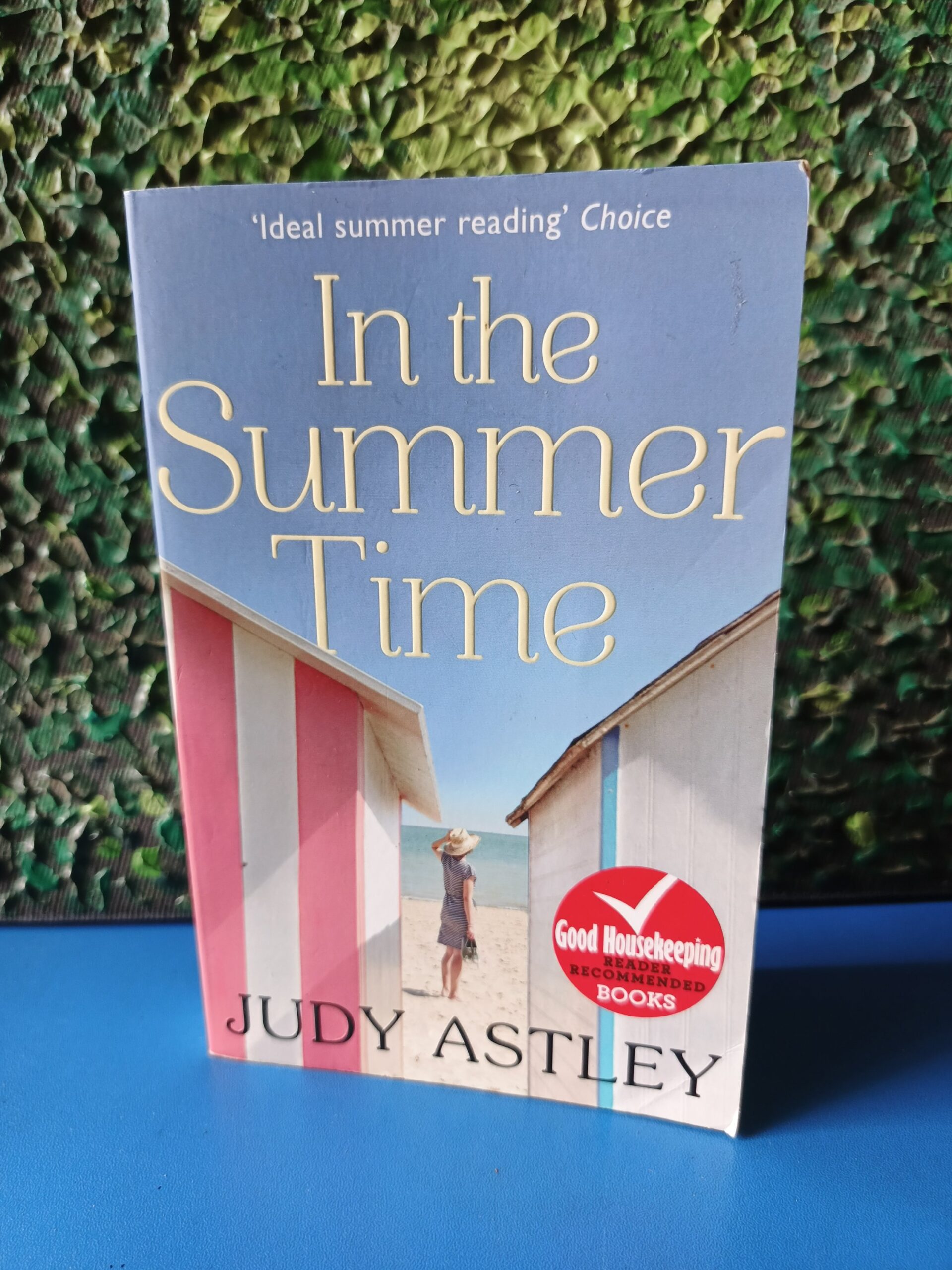 In the Summertime by Judy Astley