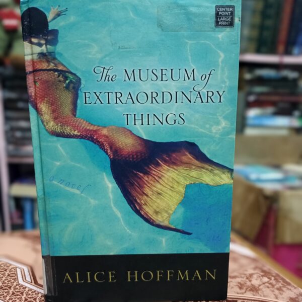 The Museum of Extraordinary Things by Alice Hoffman (Large Print)