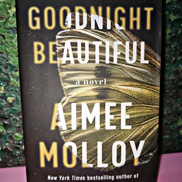 Goodnight Beautiful by Aimee Molloy