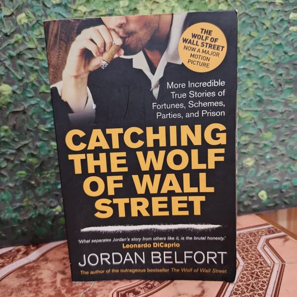 Catching the Wolf of Wall Street: More Incredible True Stories of Fortunes, Schemes, Parties, and Prison by Jordan Belfort